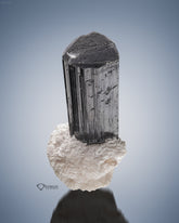 Lovely Black Tourmaline Perched on White Cleavelandite Matrix