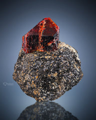 Beautiful Terminated Zircon crystal perched on matrix From Astor Valley, Pakistan