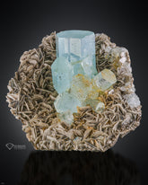 Adorable cluster of Aquamarine crystals on Muscovite Matrix