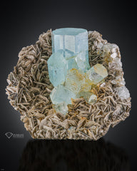 Adorable cluster of Aquamarine crystals on Muscovite Matrix