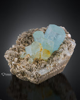 Adorable cluster of Aquamarine crystals on Muscovite Matrix