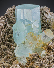 Adorable cluster of Aquamarine crystals on Muscovite Matrix