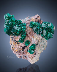 Dioptase Cluster on Matrix from