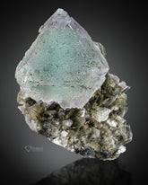 Bicolor Fluorite On Muscovite from GilGit-Baltistan, Pakistan.