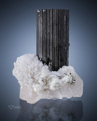 Black Tourmaline with Albite On Quartz from Pakistan