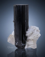 Black Tourmaline with Albite On Quartz from Pakistan