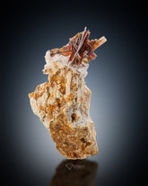 Bunch of red colour Brookite perched on Matrix