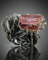 Pink Apatite on Muscovite from , Gilgit Baltistan Pakistan