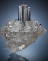 Tourmaline crystal perched on Quartz matrix