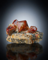 Beautiful Terminated Zircon cluster on Matrix