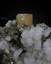 Microlite on Albite with Muscovite from Gilgit Baltistan Province, Pakistan