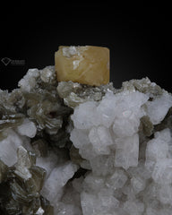 Microlite on Albite with Muscovite from Gilgit Baltistan Province, Pakistan