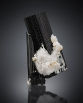 Black Tourmaline with white Albite from Pakistan