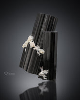 Black Tourmaline with white Albite from Pakistan