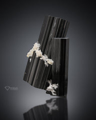 Black Tourmaline with white Albite from Pakistan