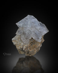 Window Quartz flower on matrix