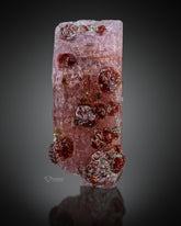 Garnet Crystals perched on Pink Apatite from skardu, Pakistn