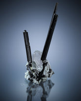 Black Tourmaline on Quartz .
