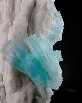 Aquamarine Bunch with Crystalized Feldspar and rare Microlite.