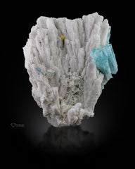 Aquamarine Bunch with Crystalized Feldspar and rare Microlite.