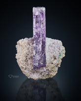 DT Purple Etched Kunzite crystal perched On Matrix