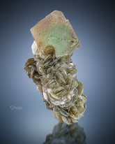 Bicolor Terminated Fluorite on Muscovite From GilGit-Baltistan, Pakistan