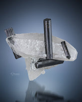 Schorl with Double Terminated Quartz