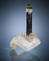 Green Cap Tourmaline on Mica from Stak Nala, Pakistan