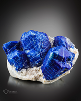Beautiful Hauyne var Lazurite perched on Matrix