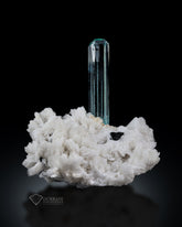 Aquamarine crystal perched on Albite Matrix.