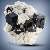 Black Tourmaline cluster on white Albite.