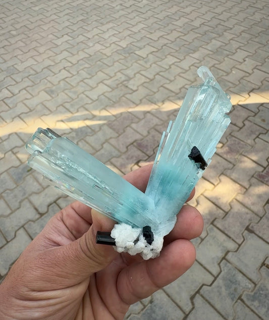 Aquamarine cluster with Schorl.