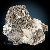Hand Size of Muscovite Mica Perched On Feldspar matrix