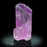 Pink Kunzite