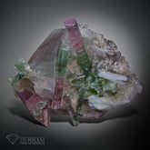 Tourmaline with Quartz