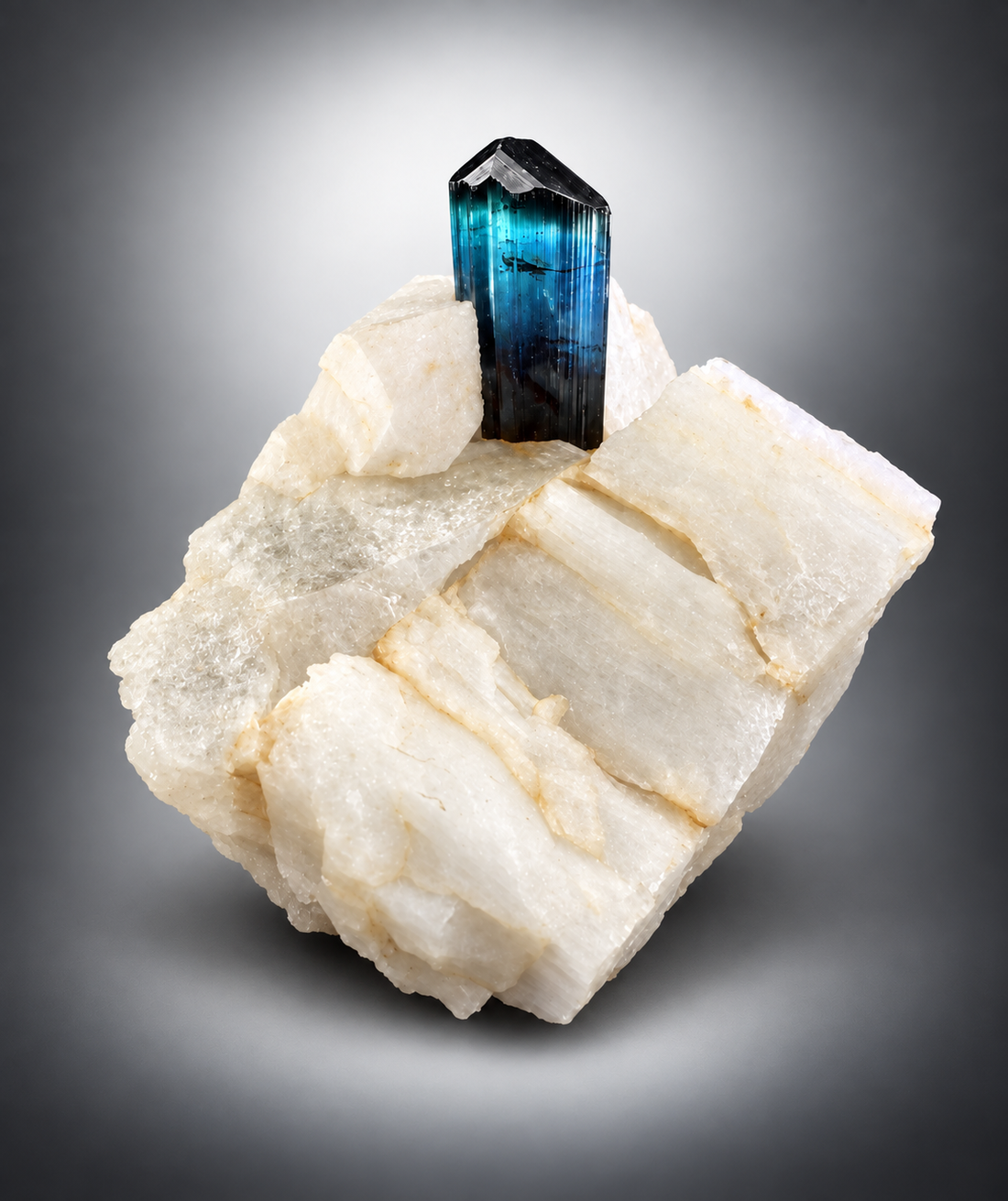 Black Tourmaline crystal specimen 