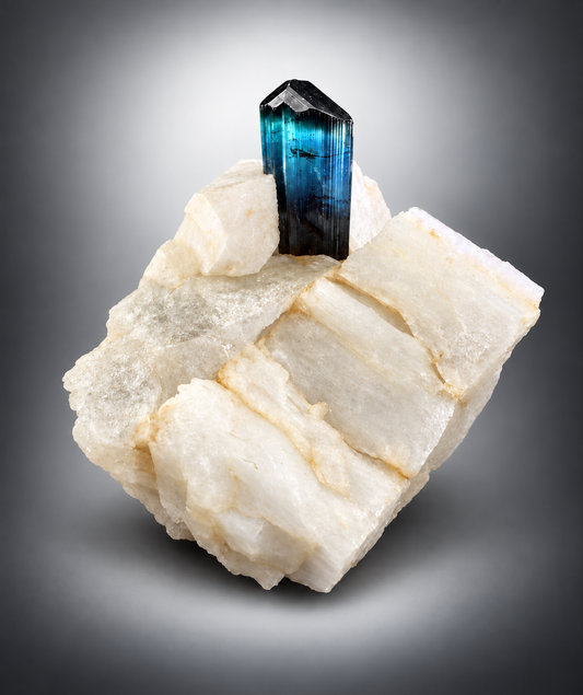 Black Tourmaline crystal specimen 
