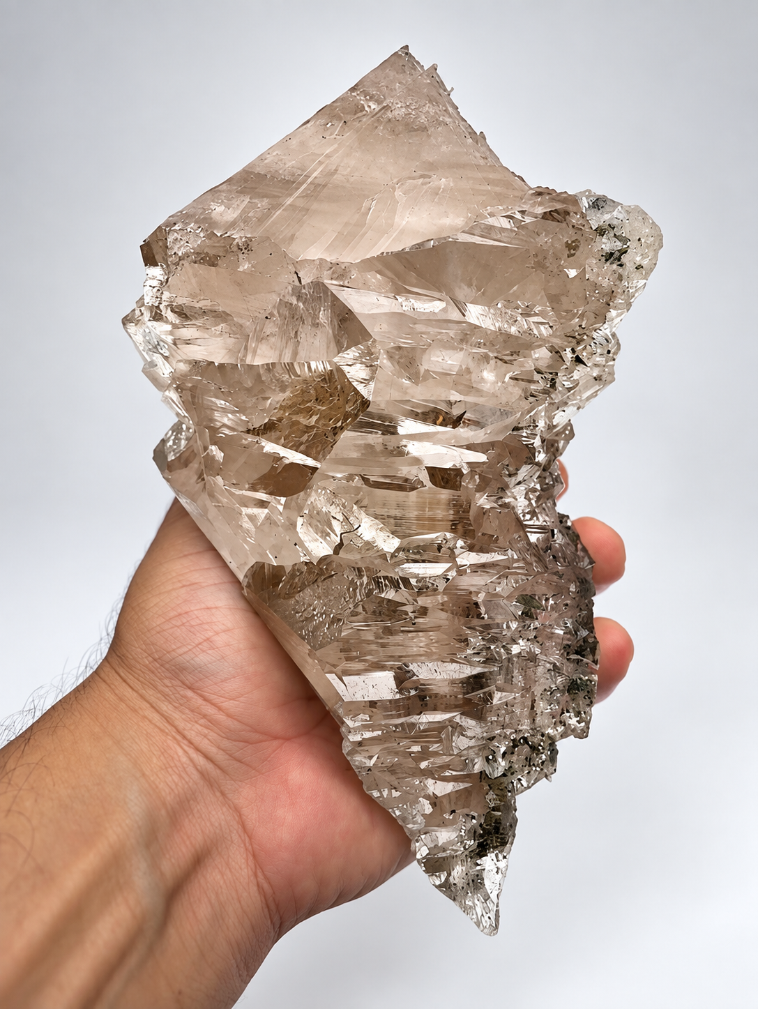 Quartz the timeless Mineral that Anchors every collection.