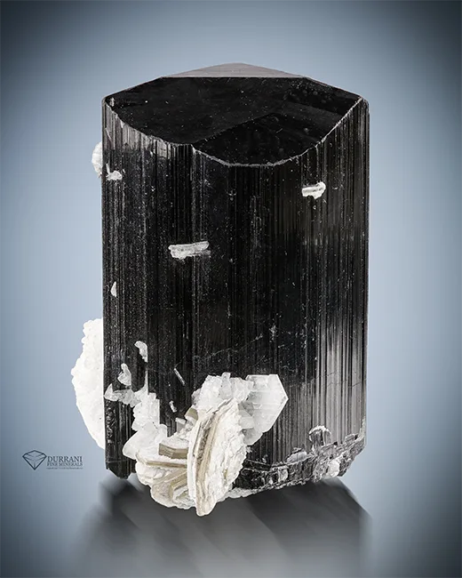 Tourmaline crystal mineral specimen