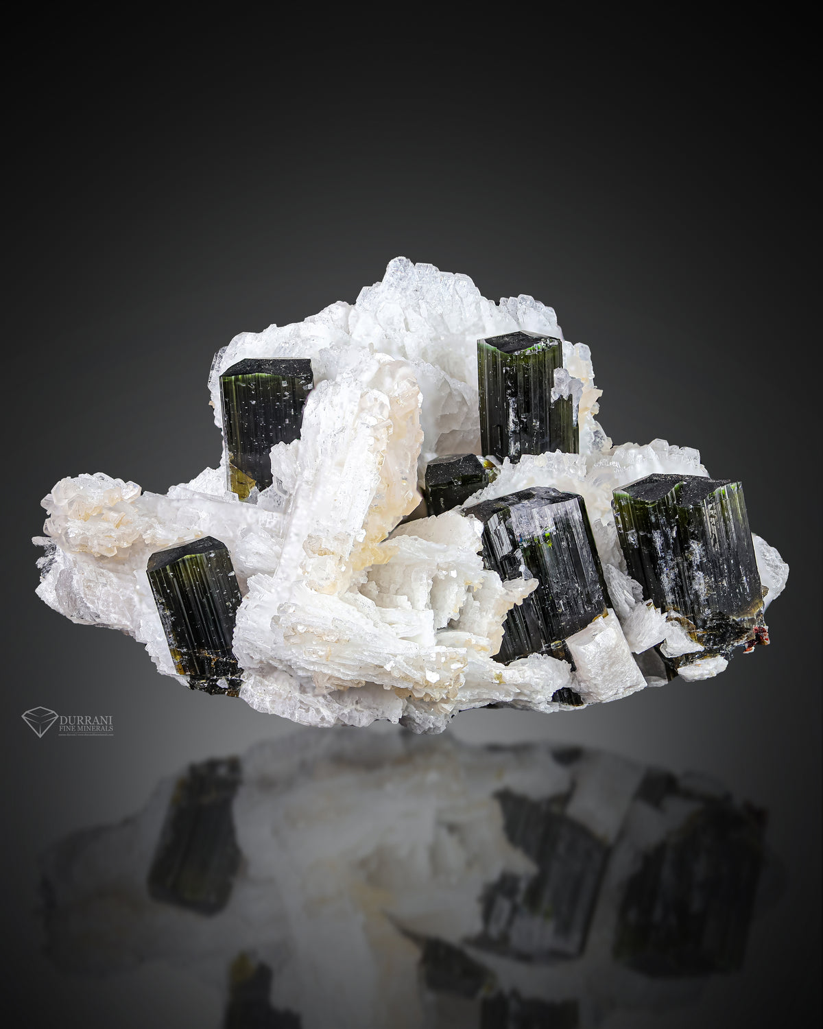 Greencap Tourmaline with Quartz and Albite