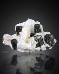 Greencap Tourmaline with Quartz and Albite