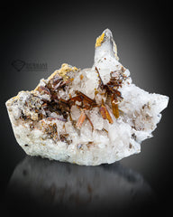 Interesting Bunch Of Red Brookite Perched On Quartz Stone