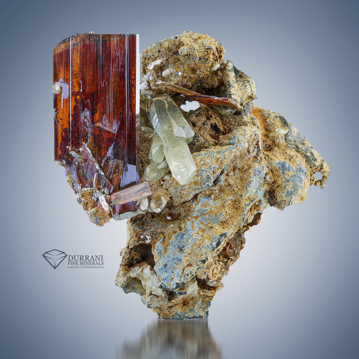 Terminated Brookite Crystal perched on matrix