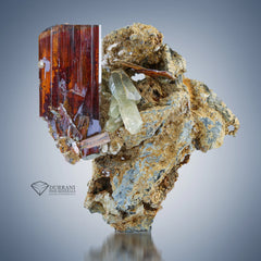 Terminated Brookite Crystal perched on matrix