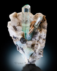 Terminated Aquamarine Crystals combine with Mica perched on Quartz and Schorl Matrix