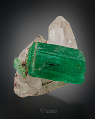 7 Pieces Batch Of Beautiful Emerald Crystals Perched on Quartz