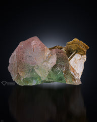 Bicolor pink Fluorite with Mica