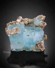 Beautiful Gemmy Aquamarine crystals with Muscovite