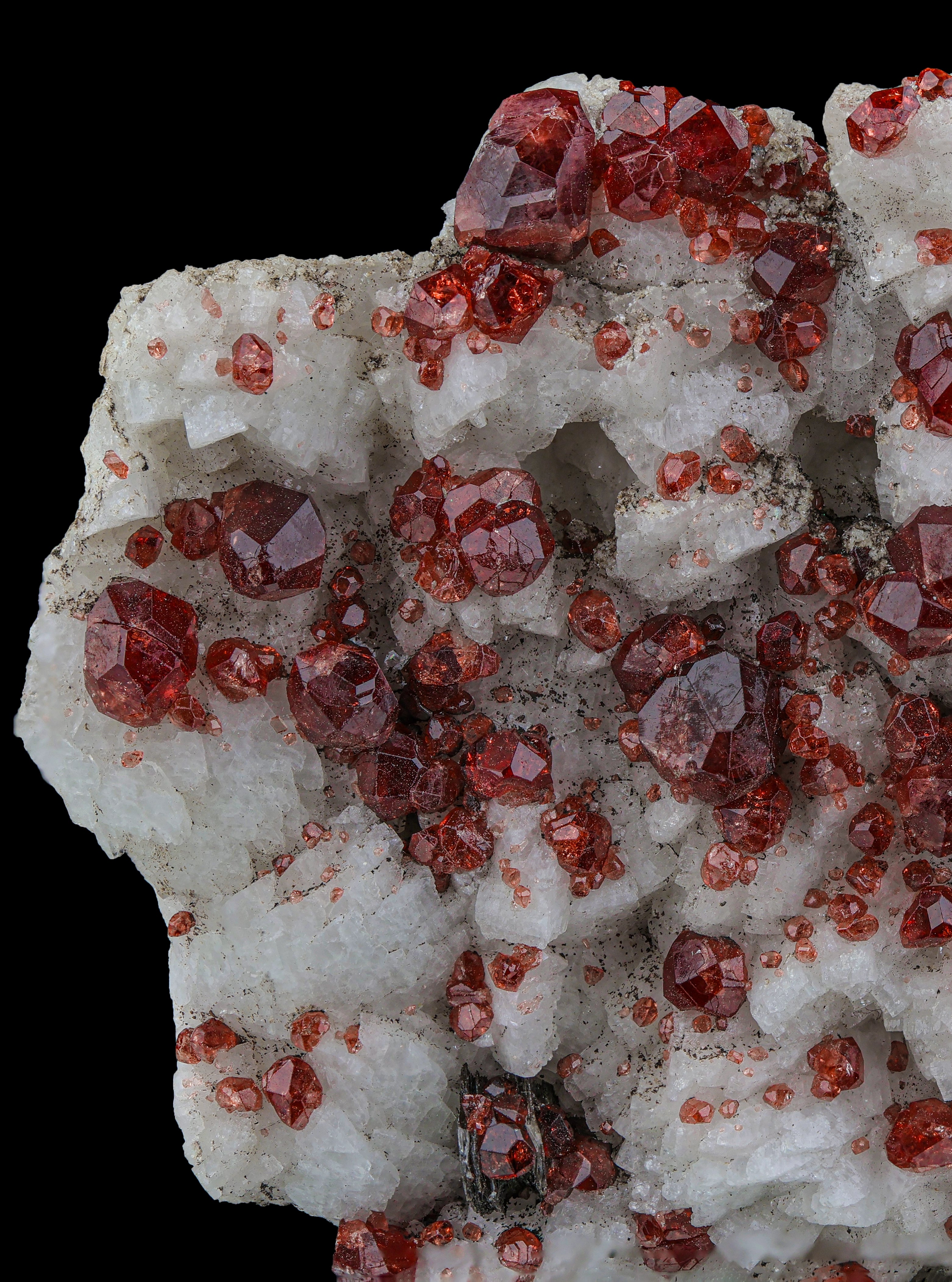 Beautiful Red colour Spessartine Garnet Cluster On Albite Matrix