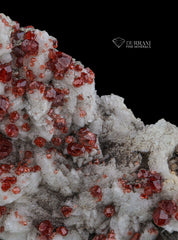 Beautiful Red colour Spessartine Garnet Cluster On Albite Matrix